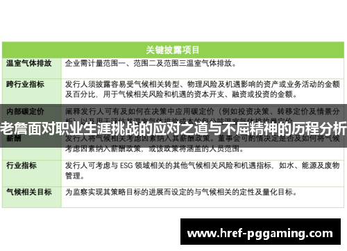 老詹面对职业生涯挑战的应对之道与不屈精神的历程分析