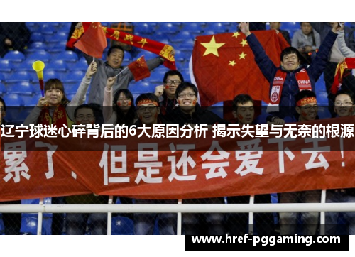 辽宁球迷心碎背后的6大原因分析 揭示失望与无奈的根源