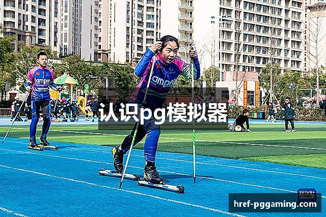 认识pg模拟器
